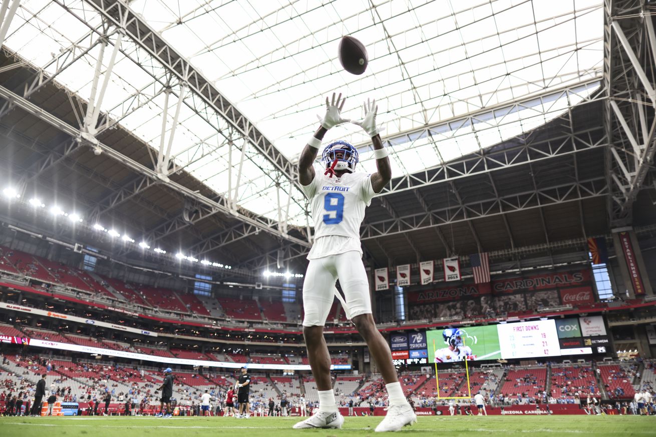 Lions Cardinals Football