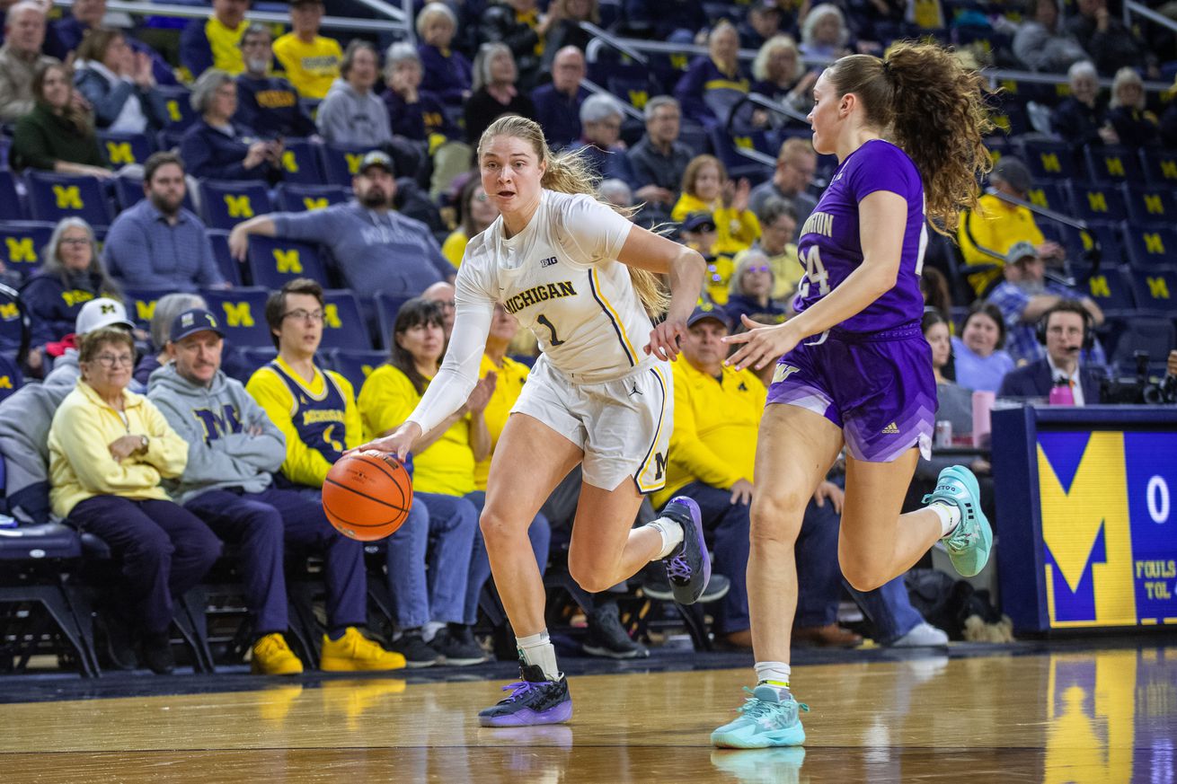 Washington v Michigan