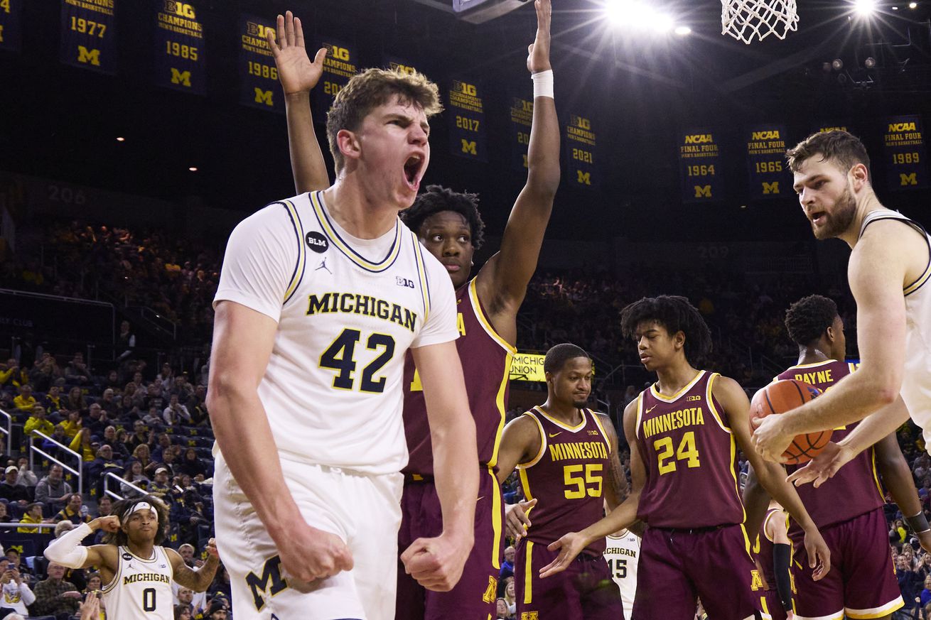 NCAA Basketball: Minnesota at Michigan