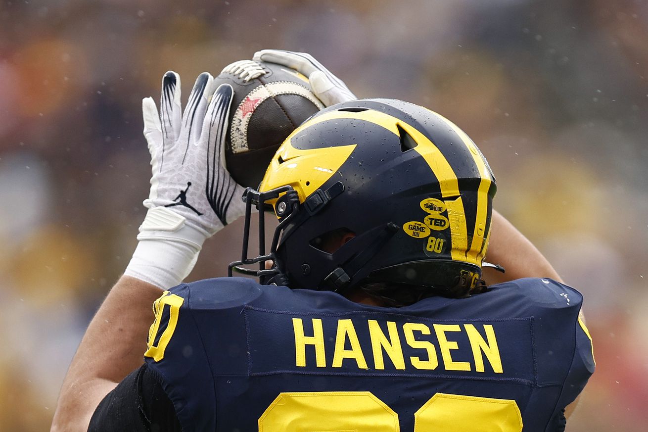 Alabama v Michigan - ReliaQuest Bowl