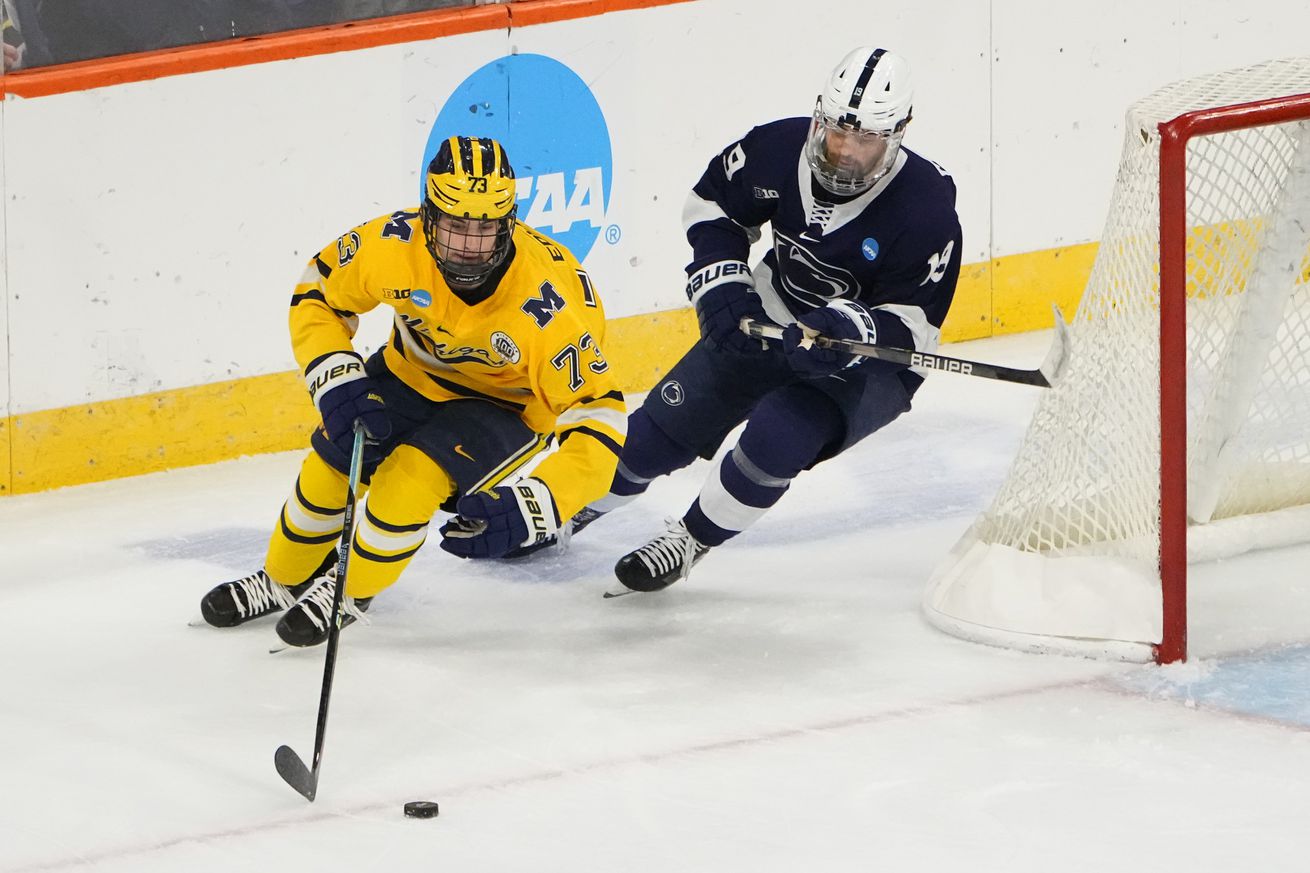 NCAA HOCKEY: MAR 26 Div I Championship Allentown Regional - Team v Team