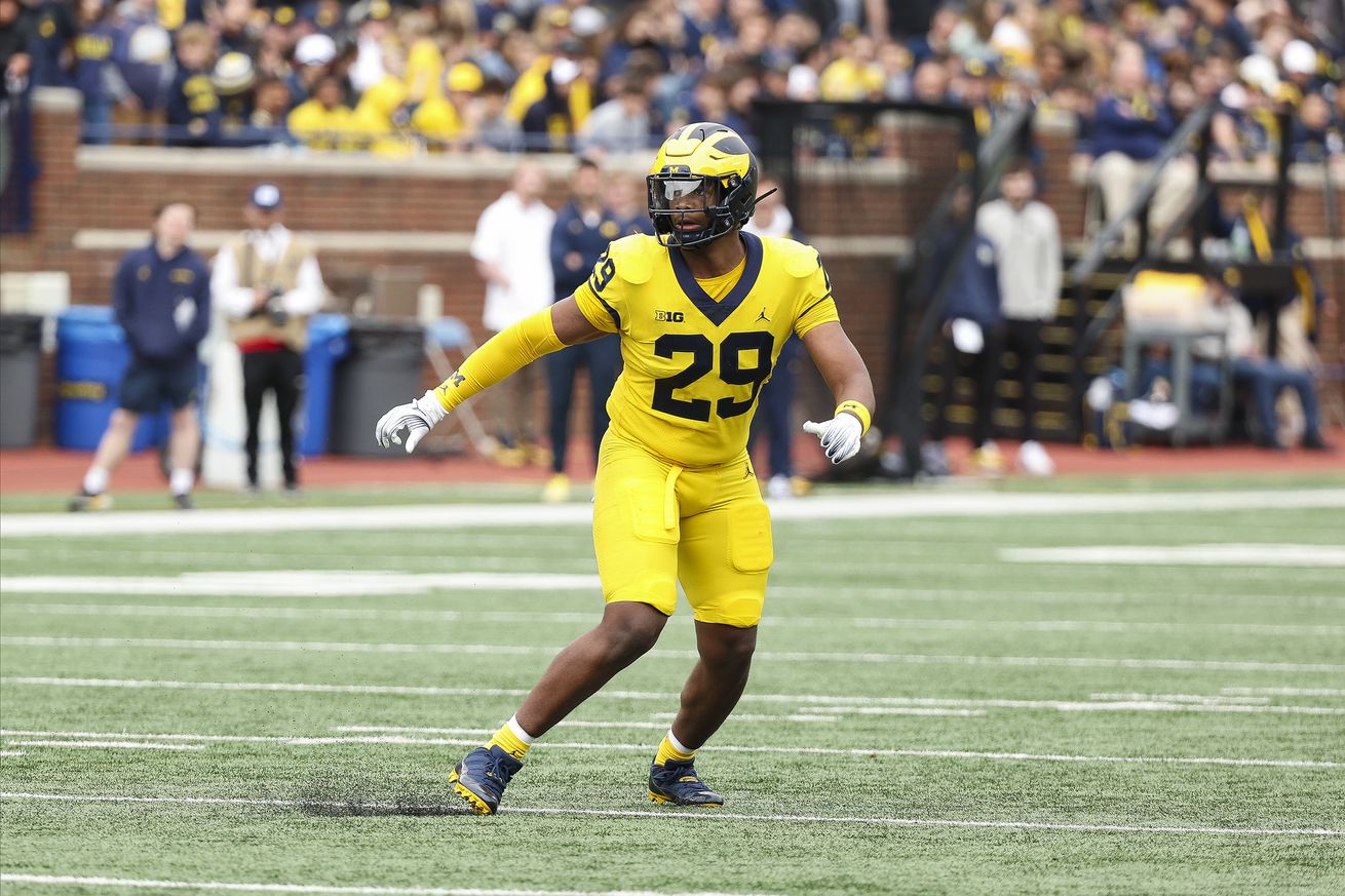 Michigan Maize vs Blue Spring Game