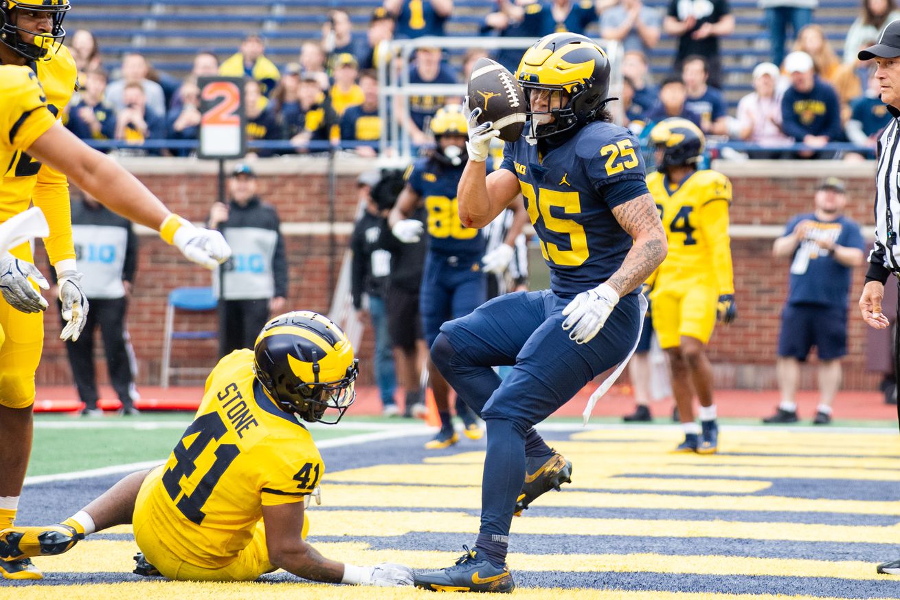 Michigan Maize vs Blue Spring Game