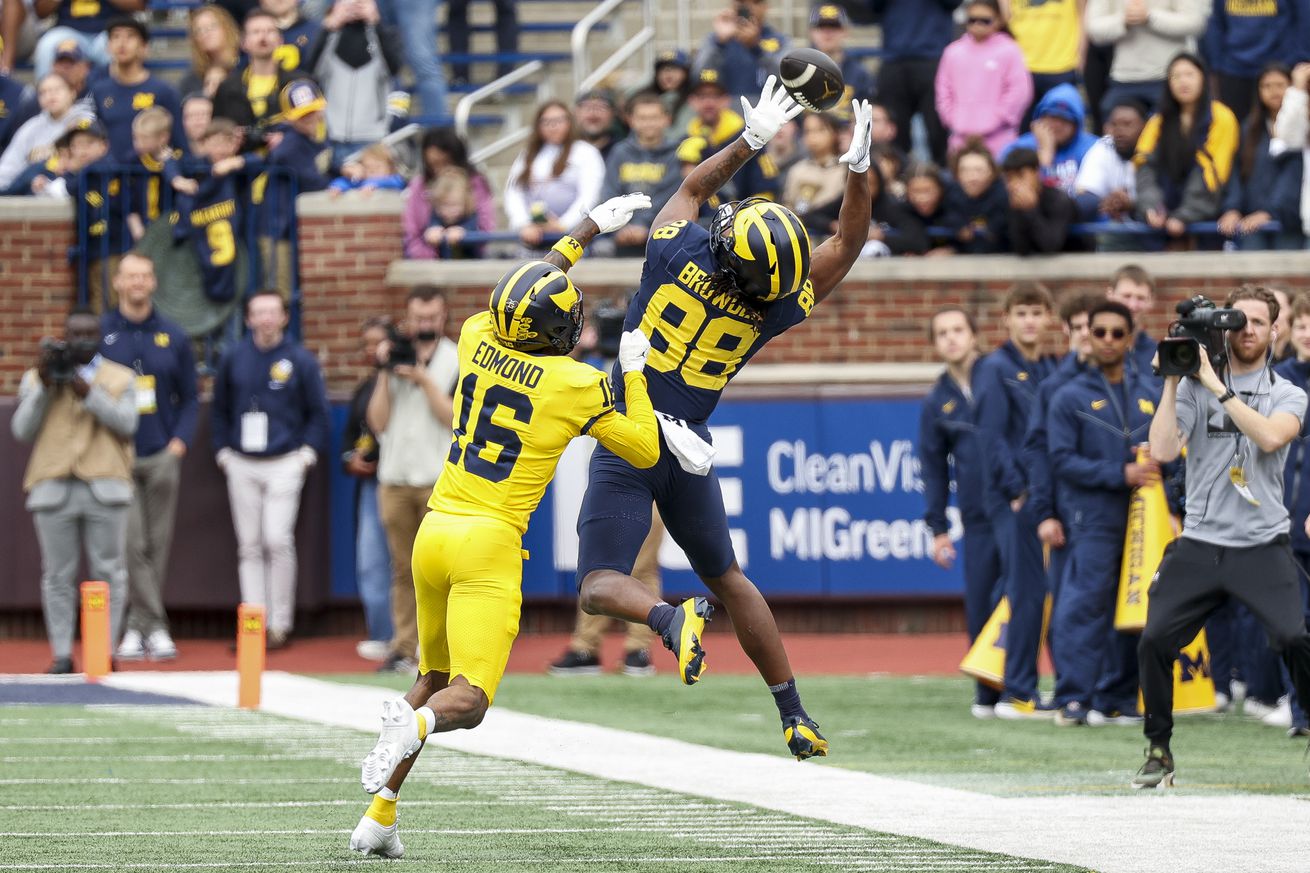 Michigan Maize vs Blue Spring Game