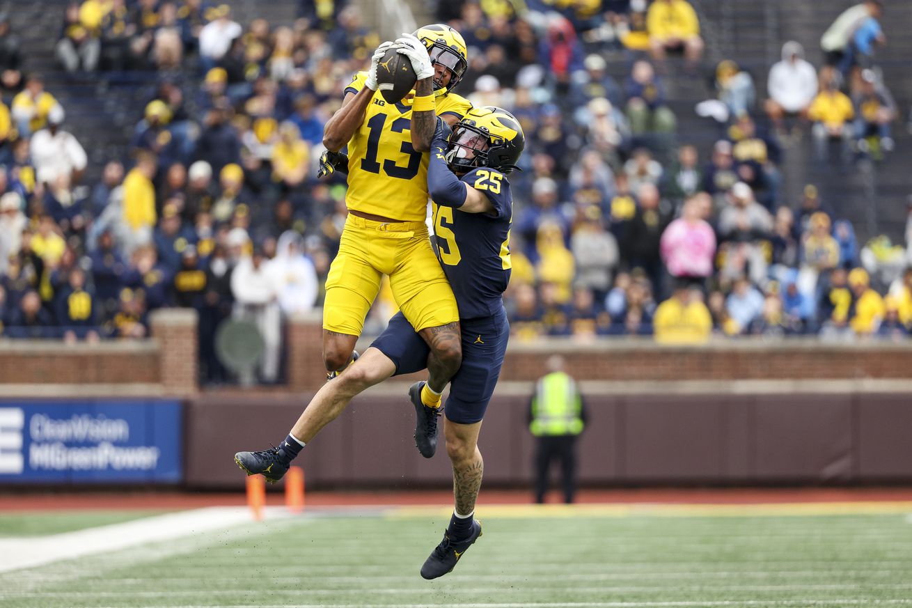Michigan Maize vs Blue Spring Game