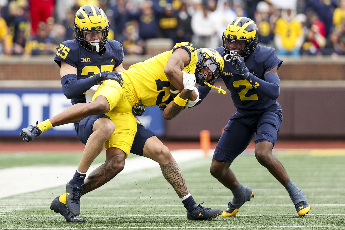 Michigan Maize vs Blue Spring Game