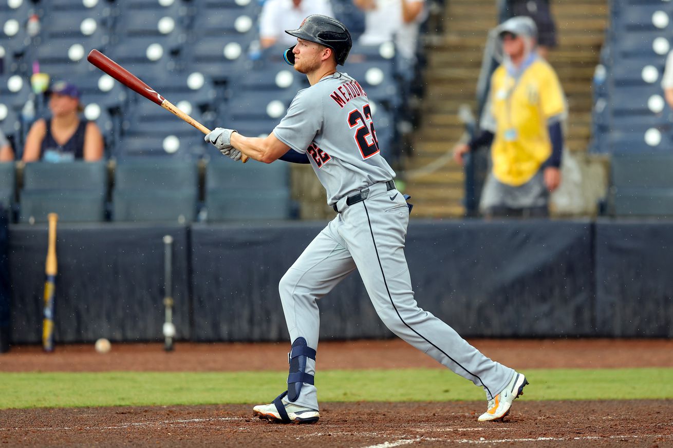Detroit Tigers v Tampa Bay Rays