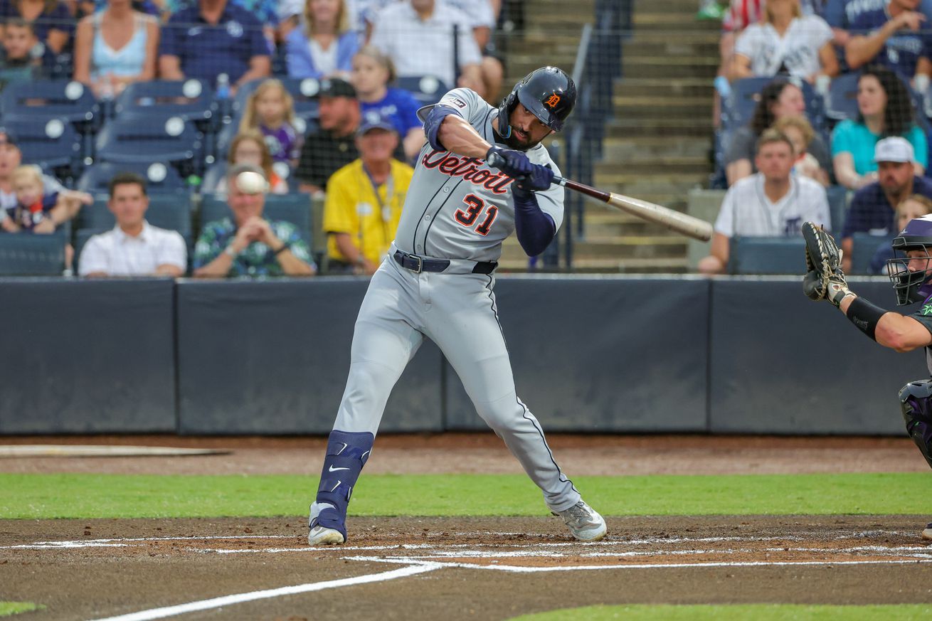 MLB: Detroit Tigers at Tampa Bay Rays