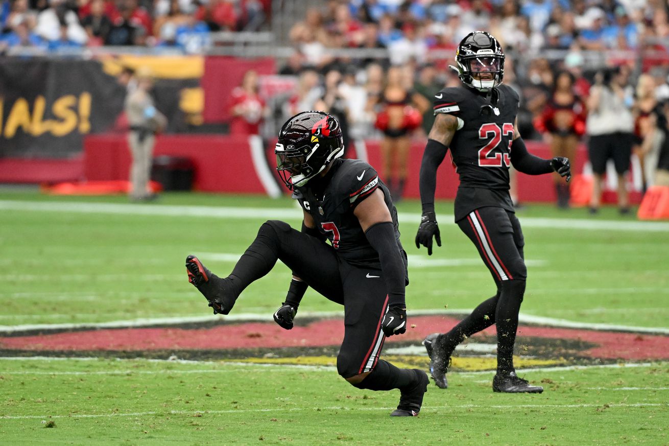 Detroit Lions v Arizona Cardinals