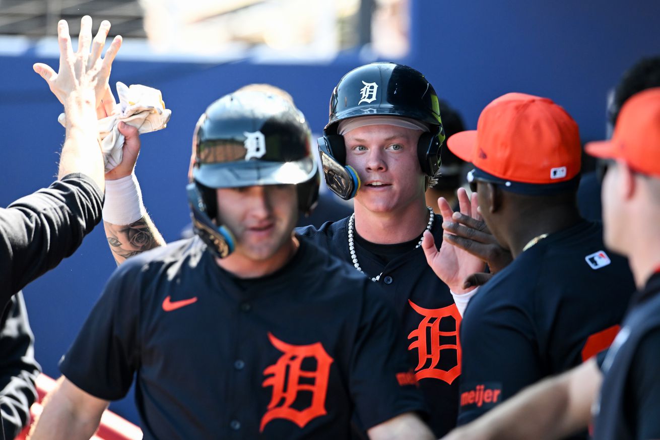 Detroit Tigers v Atlanta Braves