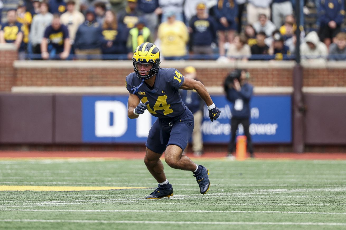 Michigan Maize vs Blue Spring Game