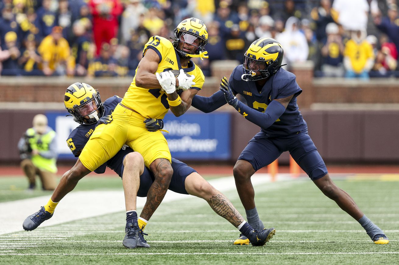 Michigan Maize vs Blue Spring Game