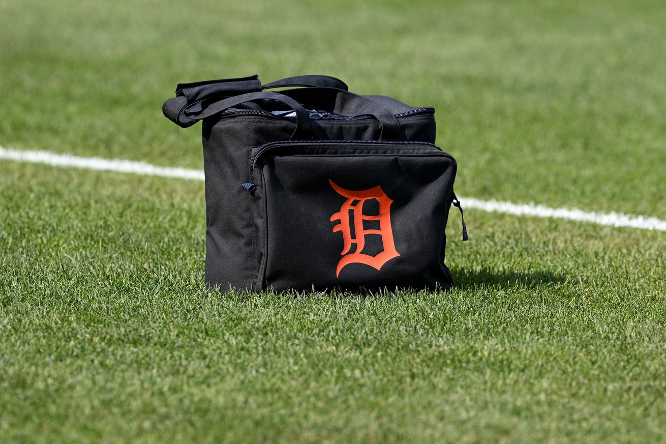 Detroit Tigers v Washington Nationals