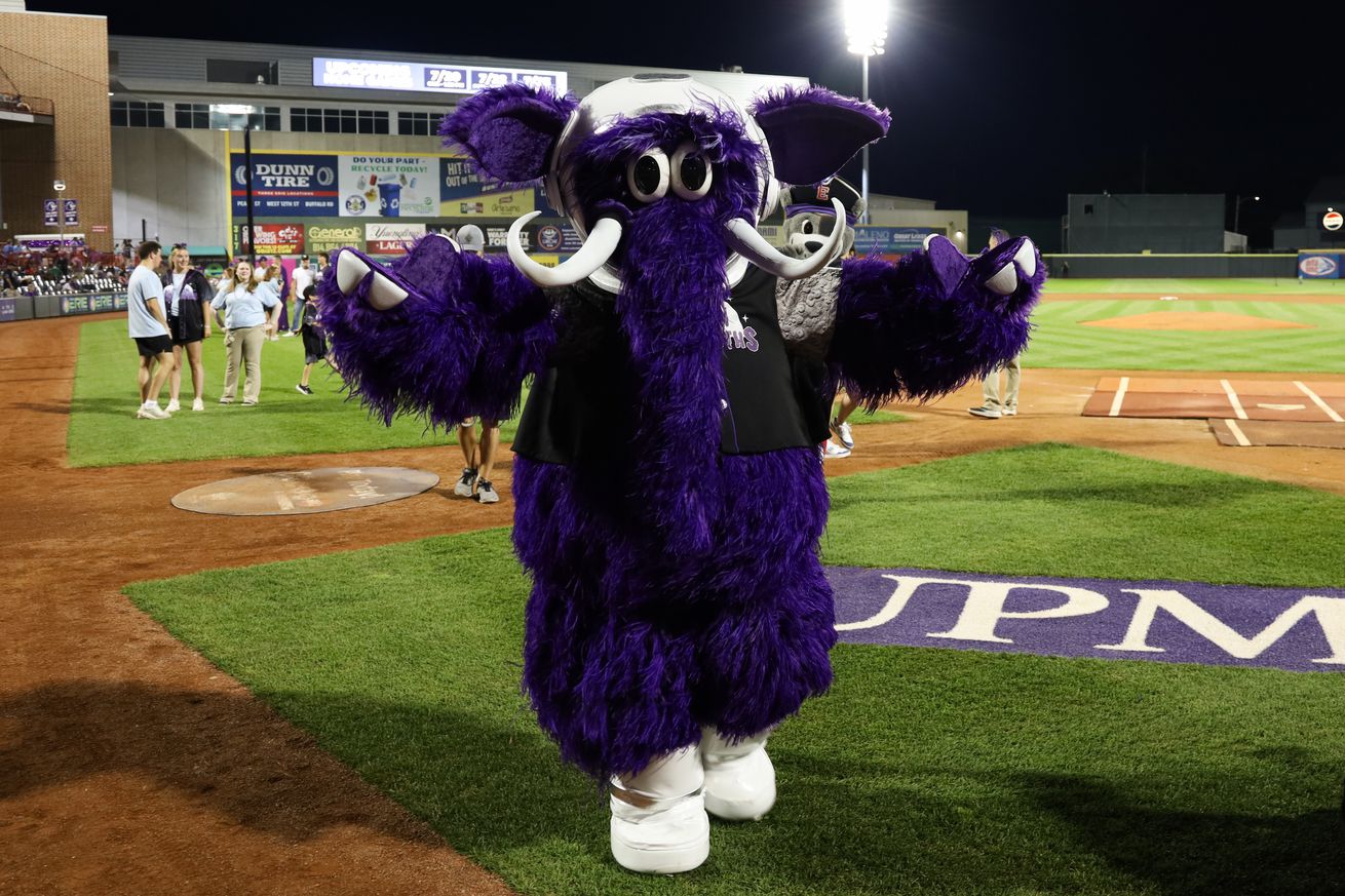 Chesapeake Baysox v. Erie Moon Mammoths
