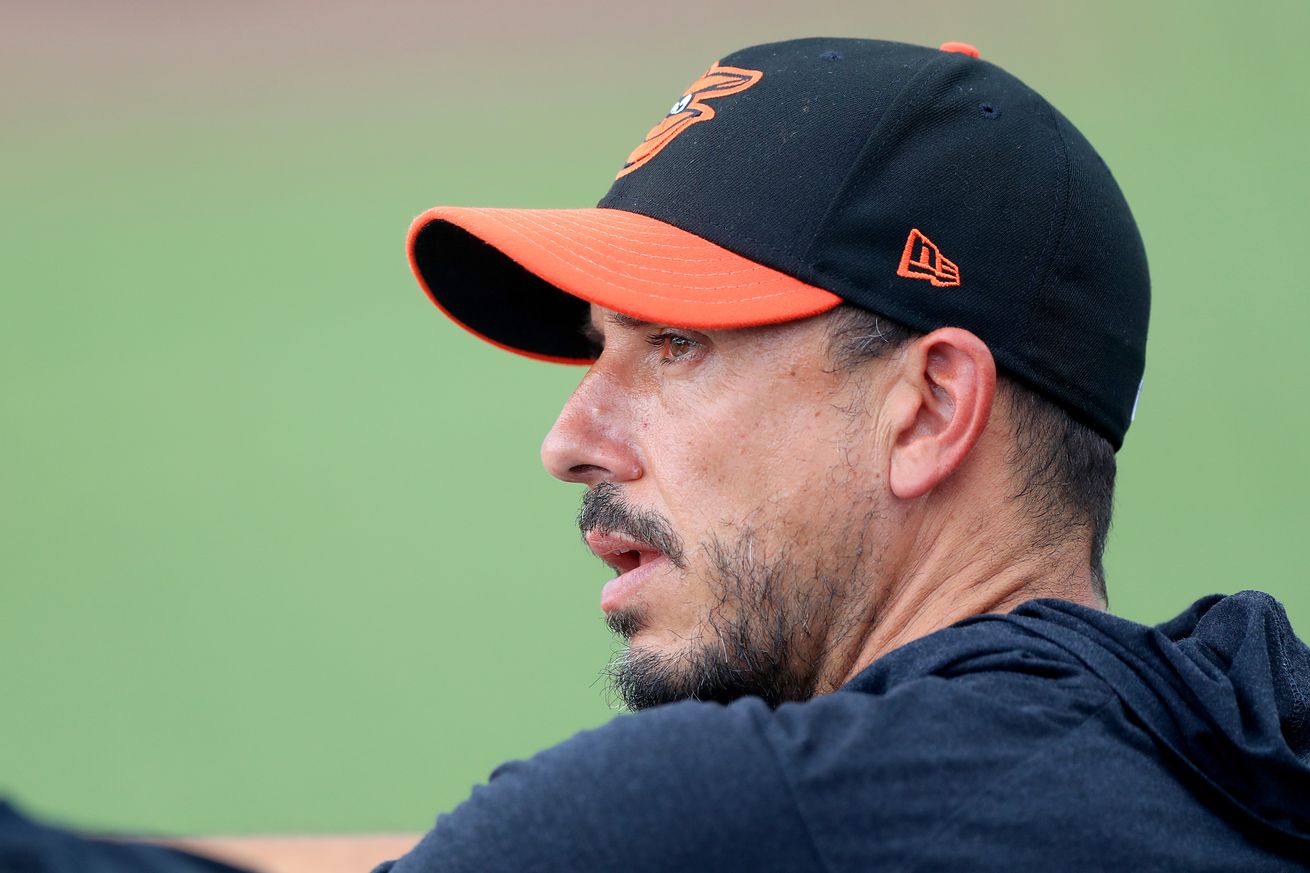 MLB: JUL 20 Orioles at Rays