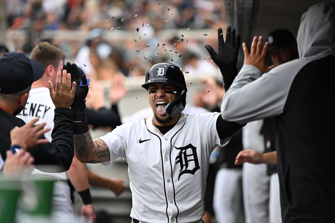 MLB: Tampa Bay Rays at Detroit Tigers